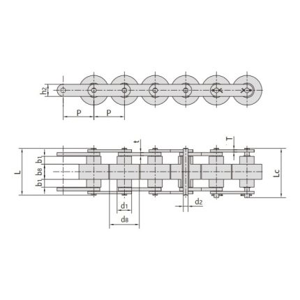 dấu gạch ngang kép